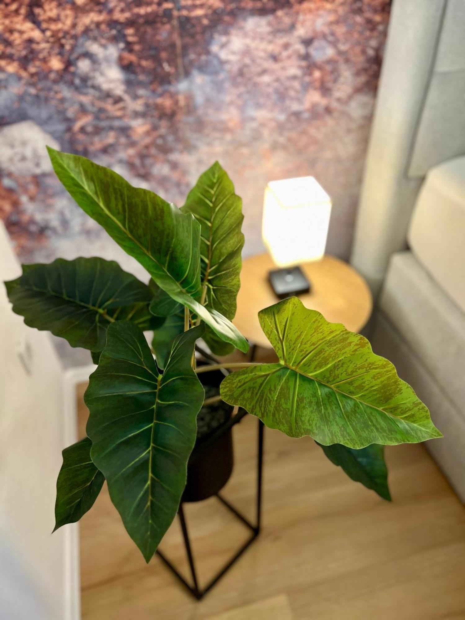 Apartament Main Cozy Casa Am Ringpark Free Parking Würzburg Zewnętrze zdjęcie